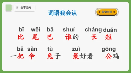 8《比尾巴》课件