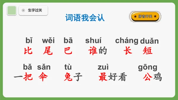 8《比尾巴》课件