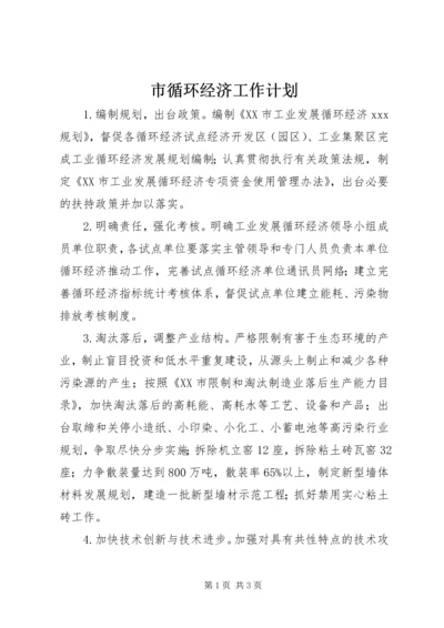 市循环经济工作计划 (3).docx