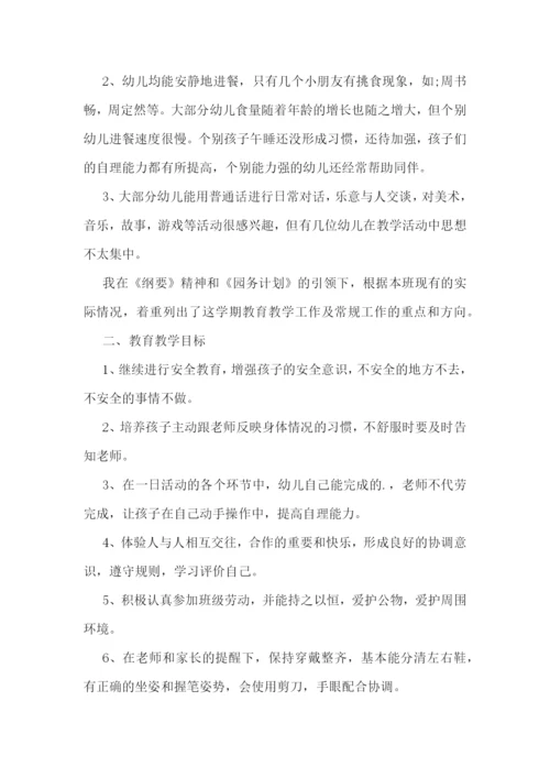 大班教师教学工作计划(精选7篇).docx