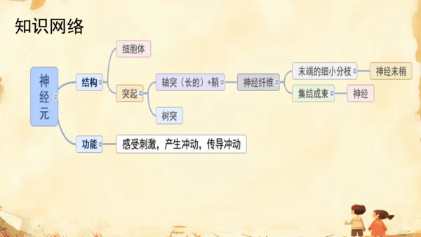 初中生物学人教版（新课程标准）七年级下册4.6.2 神经系统的组成课件(共18张PPT)