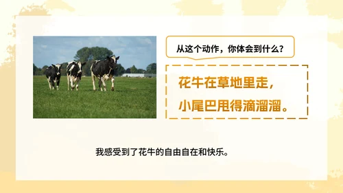 部编版四年级上册《花牛歌》