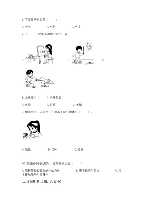 教科版一年级下册科学期末测试卷（b卷）.docx