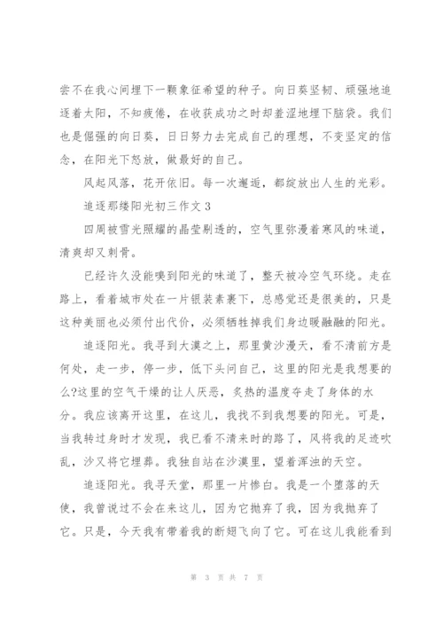 追逐那缕阳光初三作文5篇.docx