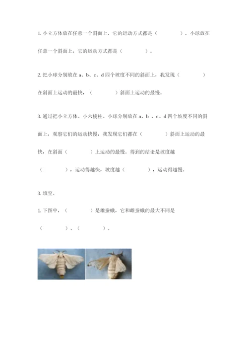 教科版科学三年级下册期末测试卷附参考答案【预热题】.docx