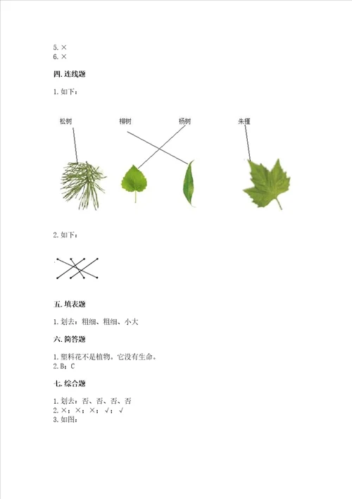 教科版科学一年级上册第一单元植物测试卷附完整答案夺冠系列