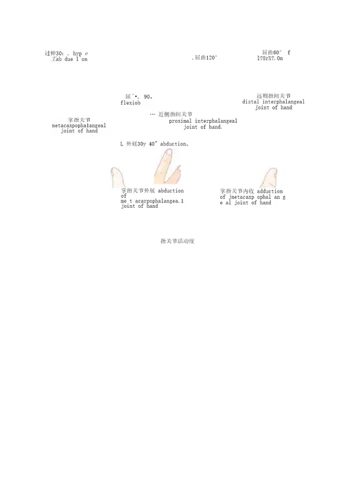 完整版图文,关节活动度测量方法和正常范围