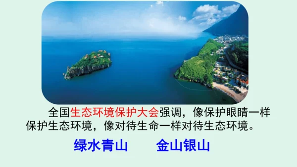 10.《我们所了解的环境污染》（第二课时）  课件
