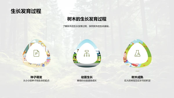 树木的生态密码