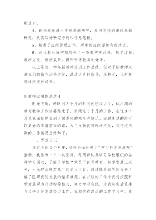 新教师试用期总结.docx