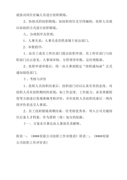 事业单位人员挂帅集体经济公司方案.docx