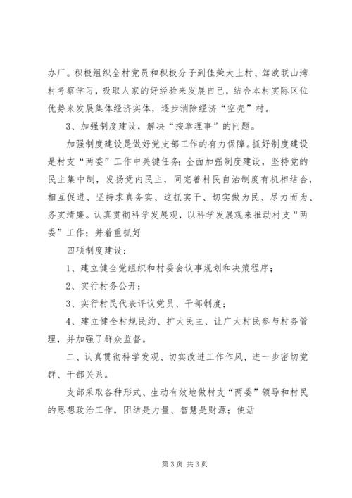 村支书工作计划汇报 (3).docx