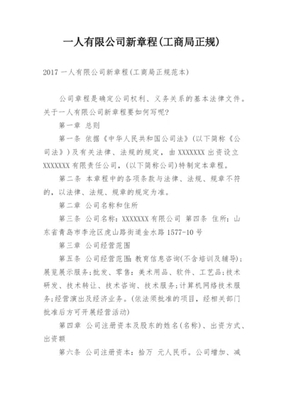 一人有限公司新章程(工商局正规).docx