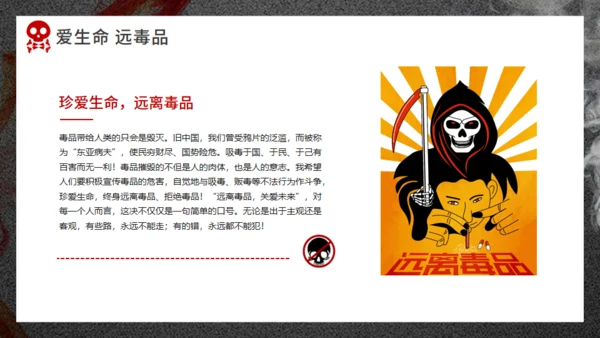 珍爱生命远离犯罪禁毒通用PPT课件