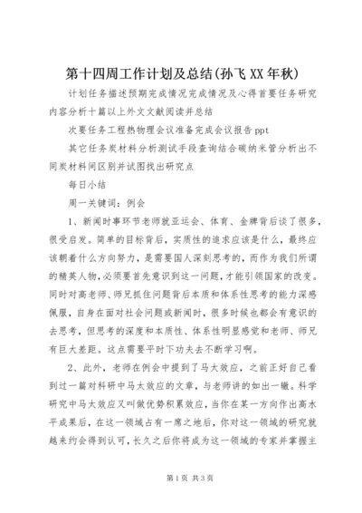 第十四周工作计划及总结(孙飞XX年秋).docx