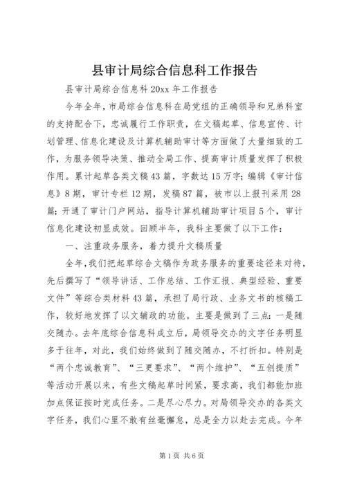 县审计局综合信息科工作报告.docx