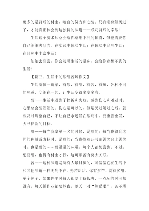 生活的酸甜苦辣作文.docx