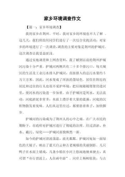 家乡环境调查作文.docx