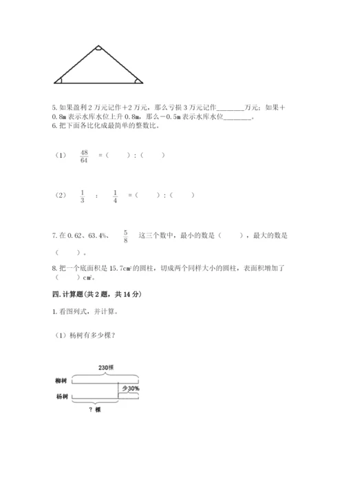 天津市津南区六年级下册数学期末测试卷最新.docx