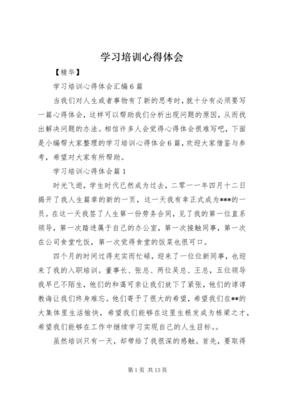 学习培训心得体会 (6).docx