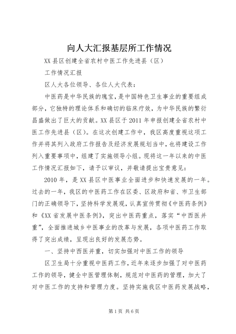 向人大汇报基层所工作情况 (3).docx