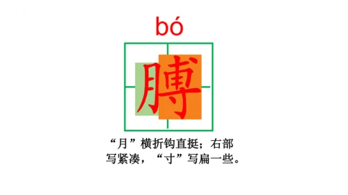 19《小英雄雨来（节选）》课件
