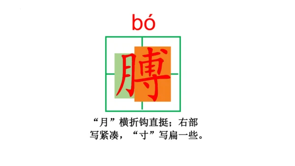 19《小英雄雨来（节选）》课件