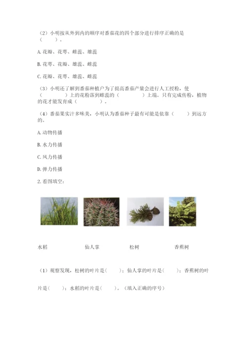 科学四年级下册第一单元植物的生长变化测试卷含完整答案【名师系列】.docx