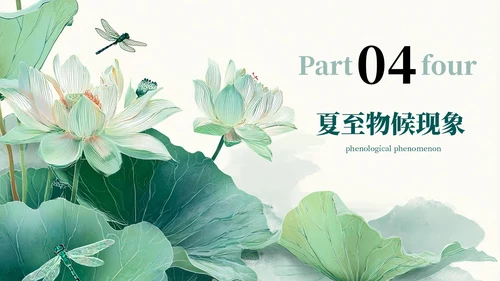 绿色简约二十四节气之夏至PPT模板