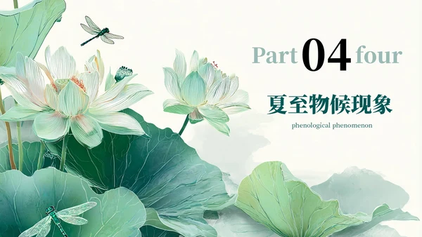 绿色简约二十四节气之夏至PPT模板