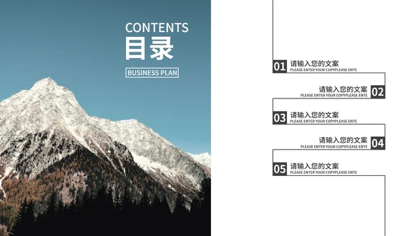 蓝色高端时尚商业计划PPT模板