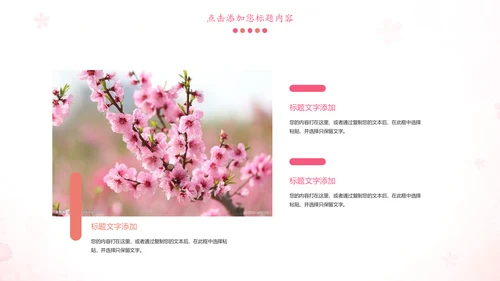 粉红唯美关爱女性健康妇联工作汇报PPT模板