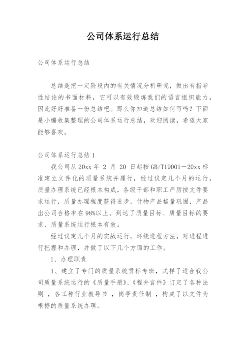 公司体系运行总结.docx