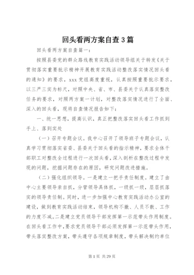回头看两方案自查3篇.docx
