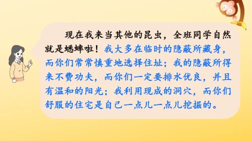 11 蟋蟀的住宅  课件