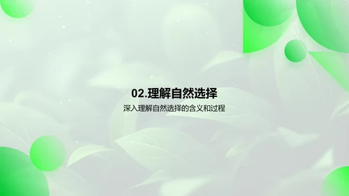 解读自然选择