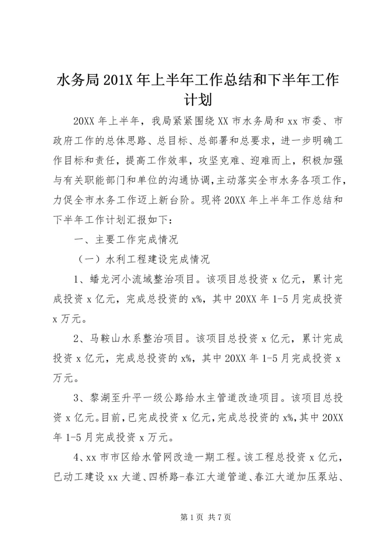 水务局201X年上半年工作总结和下半年工作计划.docx