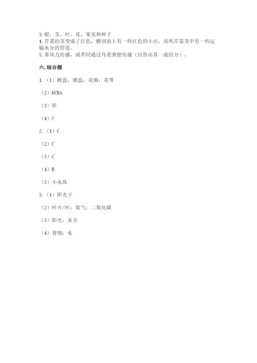 科学四年级下册第一单元植物的生长变化测试卷【名校卷】.docx