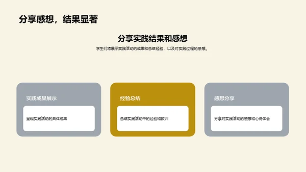 实践报告精要