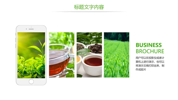 唯美绿色茶园茶文化品茶论道PPT模板