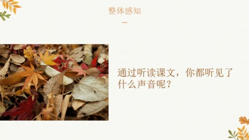 7 听听，秋的声音  课件