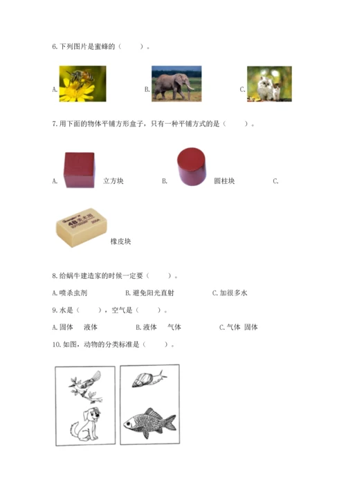 教科版一年级下册科学期末测试卷精品（突破训练）.docx