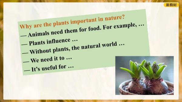 Unit 6 The power of plants Presenting ideas 课件 外研版
