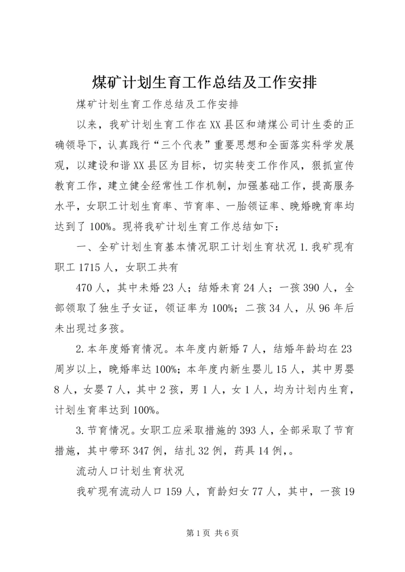 煤矿计划生育工作总结及工作安排精编.docx