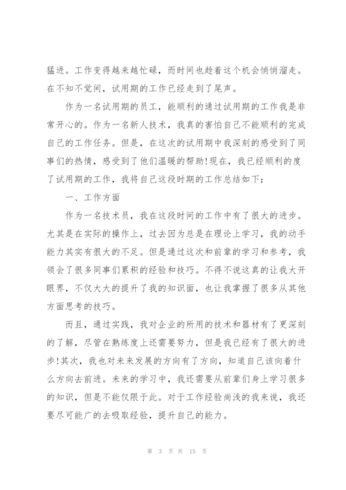 技术岗个人工作总结范文.docx