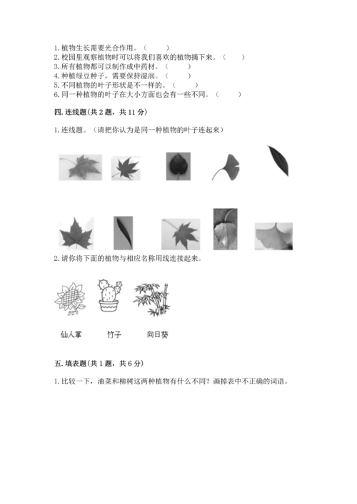 教科版科学一年级上册第一单元《植物》测试卷及完整答案（必刷）.docx