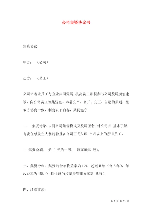 公司集资协议书.docx