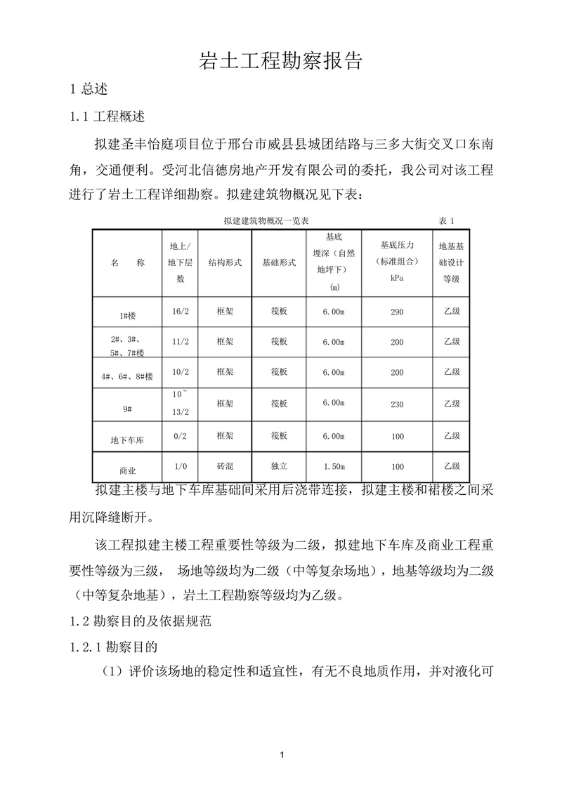 勘察报告旅游购物生活休闲勘察报告