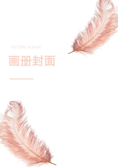 浪漫羽毛封面
