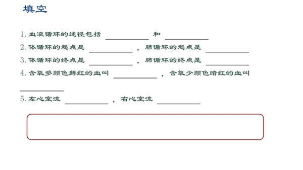 初中生物学人教版（新课程标准）七年级下册4.4.3输送血液的泵──心脏课件(共27张PPT)